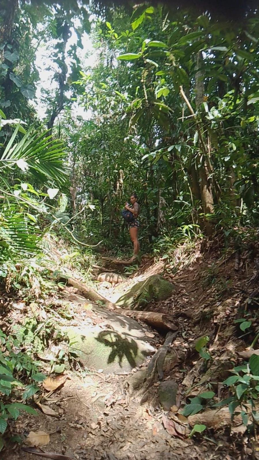 Jardim Magico Albergue Ubatuba