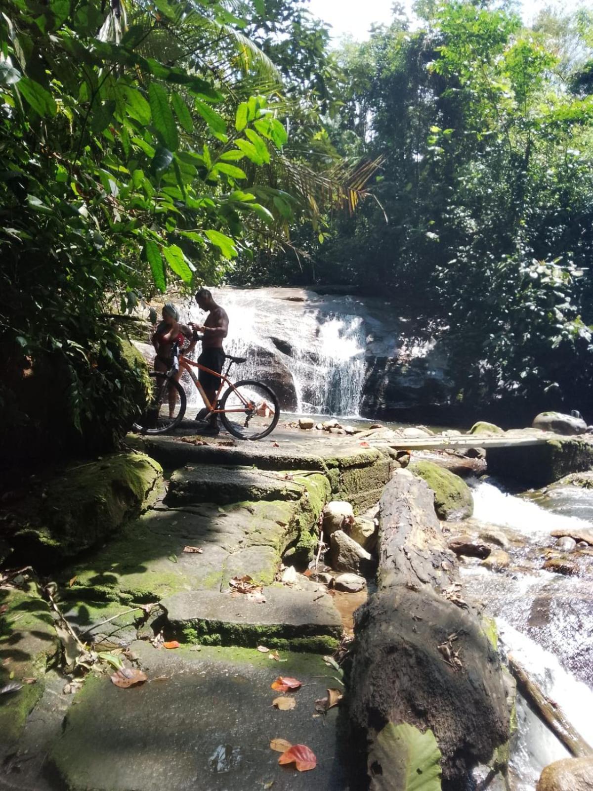 Jardim Magico