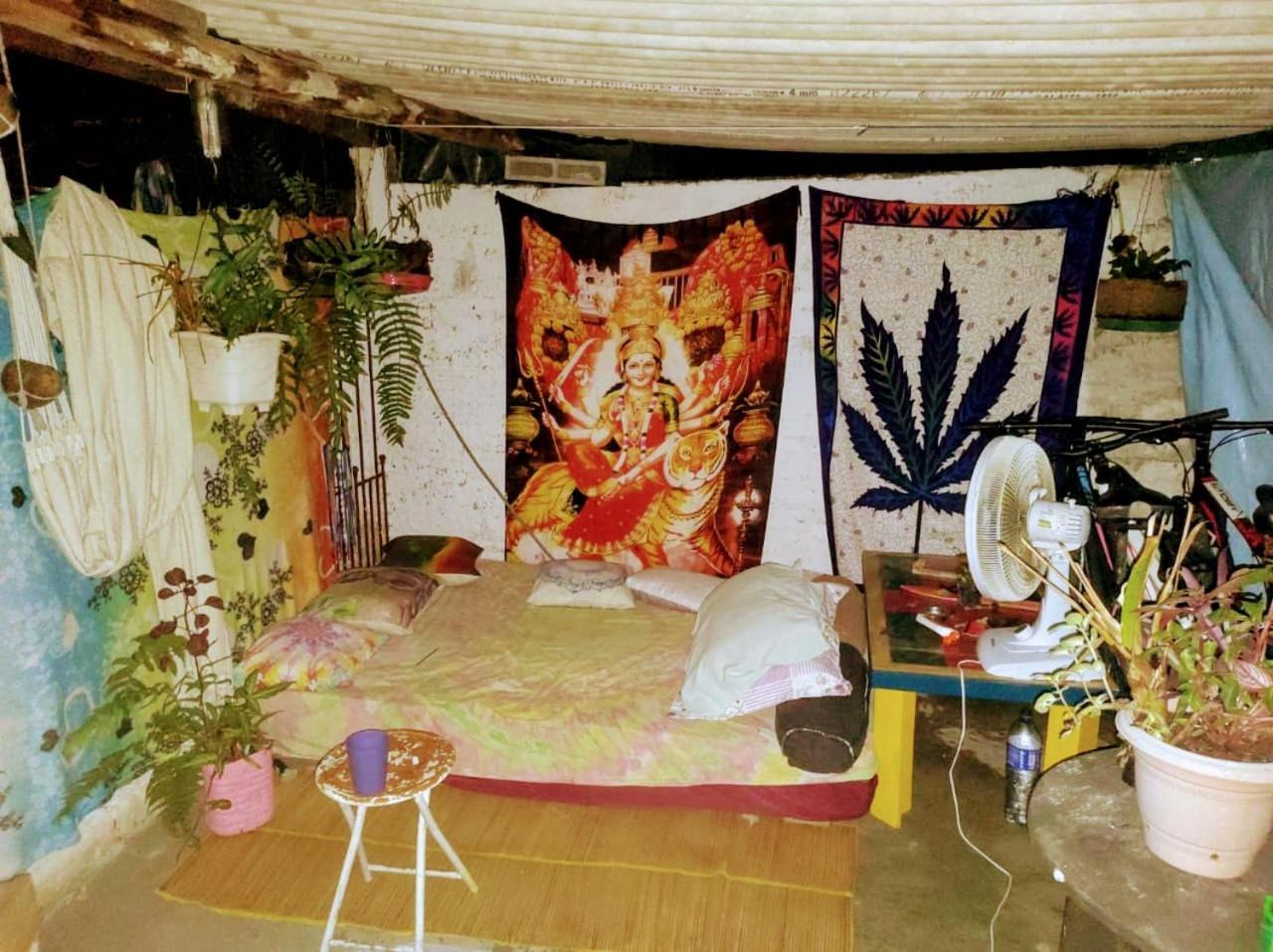 Jardim Magico Albergue *