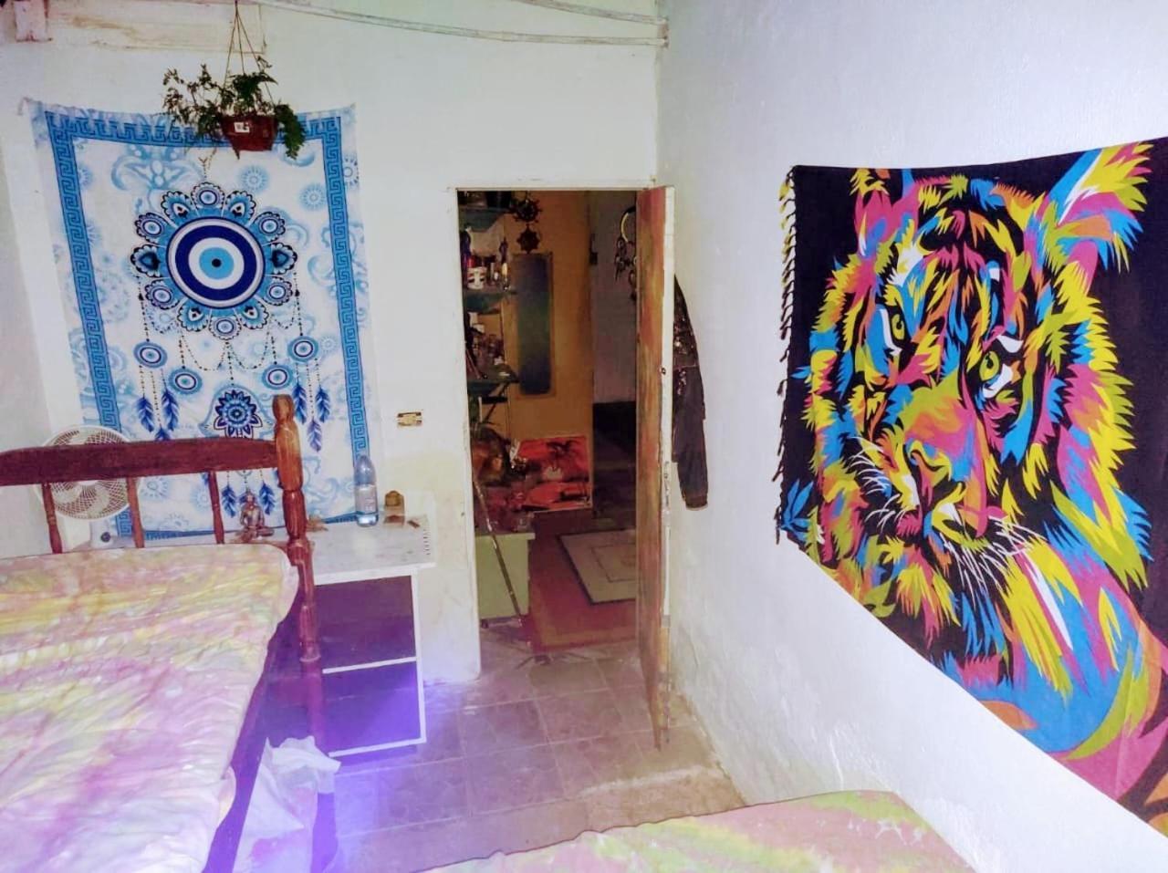 Jardim Magico Albergue Ubatuba
